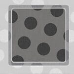 quantifoil R10/5