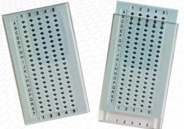 Antistatic grid storage box for 100 TEM GRIDS