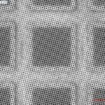 quantifoil R2/2