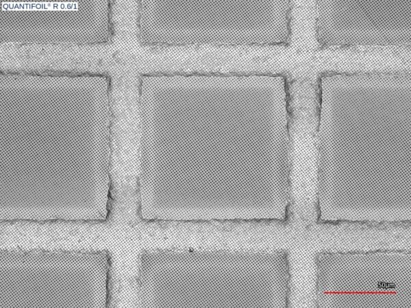 quantifoil R0.6/1