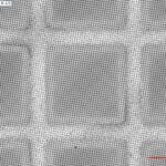 QuantifoilR1-2_50x