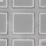 QuantifoilR1/4_50x