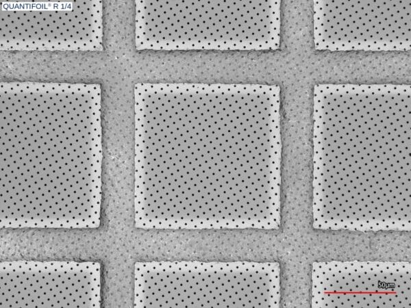 QuantifoilR1/4_50x
