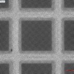 Quantifoil R2/1