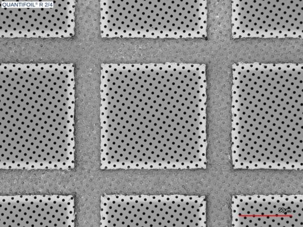 Quantifoil R2/4