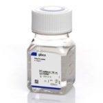 Poly-L-Lysine Hydrobromide 70,000-150,000