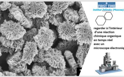 Electron microscope provided look inside the organic chemical reaction.