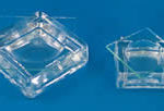 Embryo Dishes