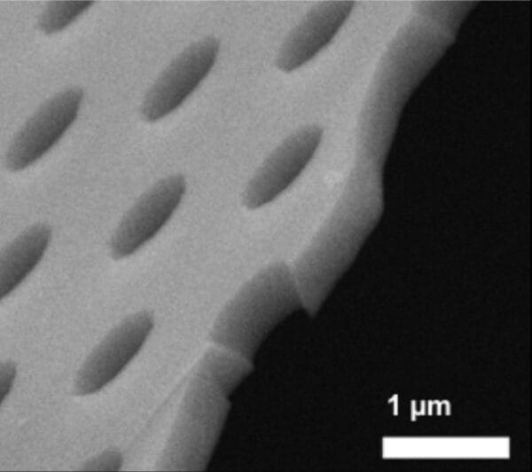 Microporous Membrane Chips - Image 2